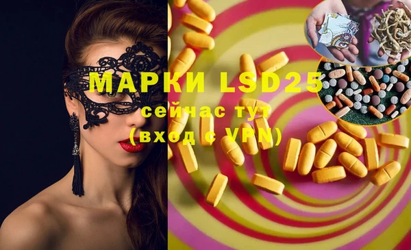 PSILOCYBIN Богданович