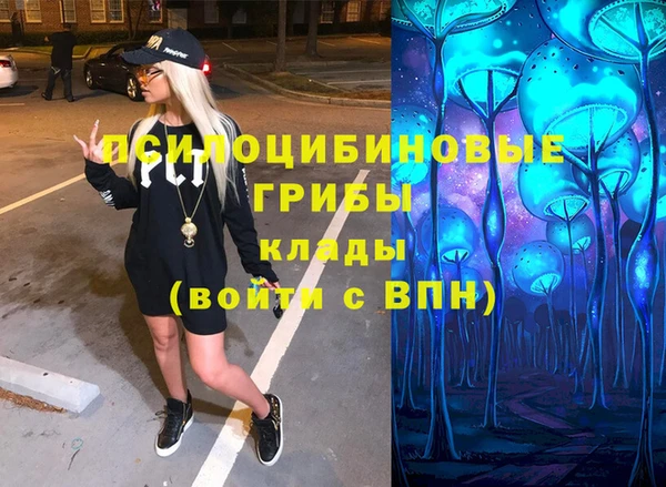 дживик Беломорск