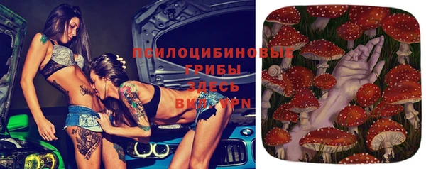 дживик Беломорск