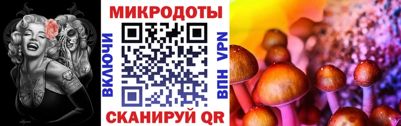 Псилоцибиновые грибы ЛСД Городовиковск